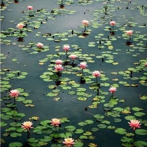 Meet your Posher, ✨aura wardrobe✨